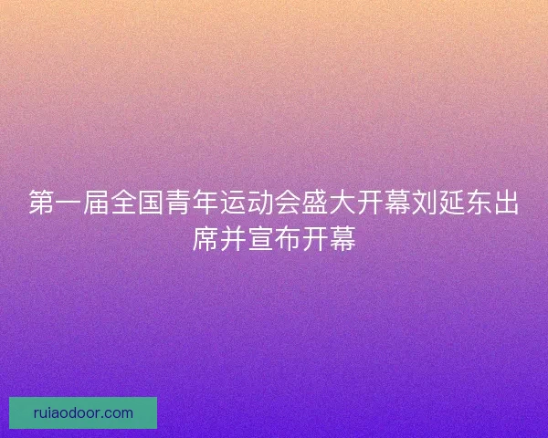 第一届全国青年运动会盛大开幕刘延东出席并宣布开幕